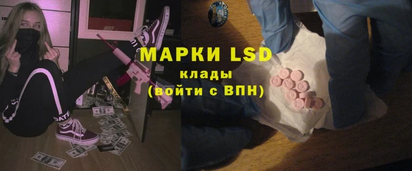 PSILOCYBIN Карталы