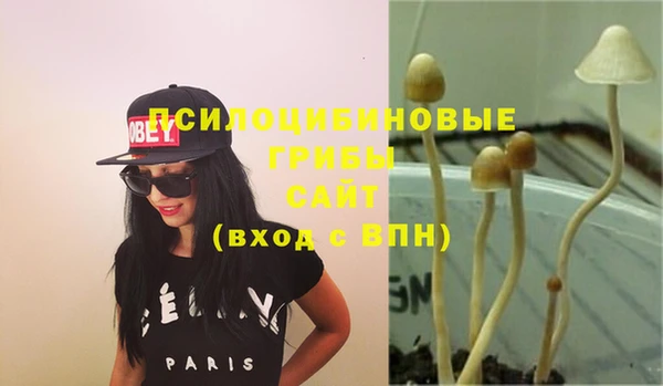 амфетамин Карпинск