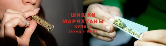 PSILOCYBIN Карталы
