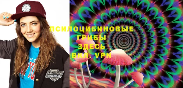 PSILOCYBIN Карталы