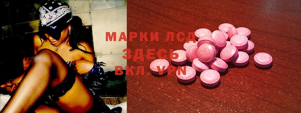 PSILOCYBIN Карталы