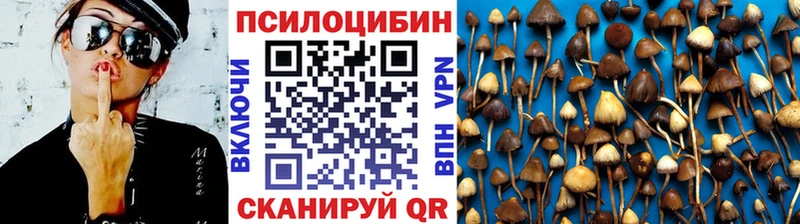 Псилоцибиновые грибы Cubensis  Купить где  Минусинск 